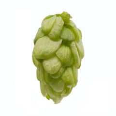 Luppolo Fuggle - 5 kg Pellets T90