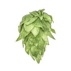 Luppolo Krush® - 100 g Pellets T90