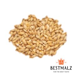 Malto Best Acidulated (Sauer) - 5 kg