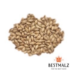 Malto Best Biscuit - 25 kg