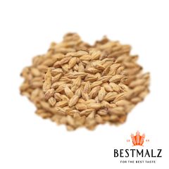Malto Best Caramel® Hell - 5 kg