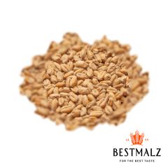 Malto Best Wheat - 1 kg