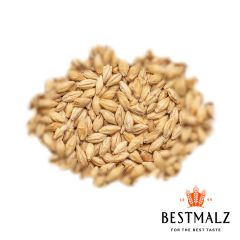 Malto Best Pale Ale - 5 kg