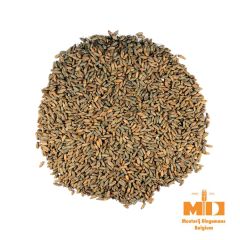 Malto Dingemans Rye (Segale) - 25 kg