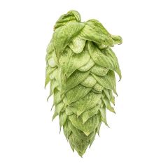 Yakima Chief Hops® Cryo Hops® pellets El Dorado® - 1 kg