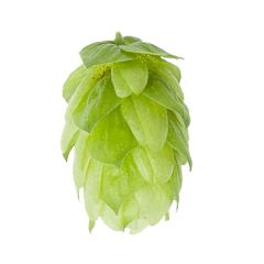 Luppolo Hersbrucker (Hallertau) - 5 kg Pellets T90