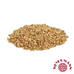Malto Weyermann® CaraAmber® - 5 kg