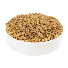 Malto Italmalt Melanoidinico - 25 kg