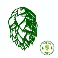 Luppolo Pilgrim - 100 g Pellets T90