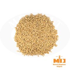 Malto Dingemans Pilsner BIO - Big Bag 1000 kg