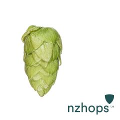 Luppolo Riwaka™ - 5 kg Pellets T90