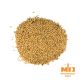 Malto Dingemans Cara 20 - 25 kg