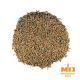 Malto Dingemans Rye (Segale) - 5 kg