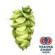 Luppolo Yakima Chief Hops® Dolcita™ Brand - 5 kg Pellets T90