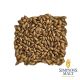 Malto Simpsons Export Pale Brown - 25 kg