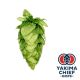 Luppolo Yakima Chief Hops® HBC 1134 - 5 kg Pellets T90
