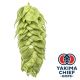 Luppolo Yakima Chief Hops® Comet - 5 kg Pellets T90