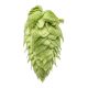 Yakima Chief Hops® Cryo Hops® pellets El Dorado® - 1 kg