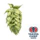 Luppolo Yakima Chief Hops® HBC 682 - 5 kg Pellets T90