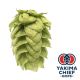 Luppolo Yakima Chief Hops® Willamette - 5 kg Pellets T90