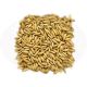 Malto Simpsons Oats - 25 kg
