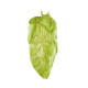 Cryo Hops® pellets Nectaron® -  50 g