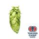 Yakima Chief Hops® Cryo Hops® pellets Nectaron® - 5 kg