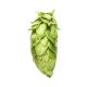 Cryo Hops® pellets Nectaron® -  50 g