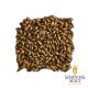 Malto Simpsons Brown (Coffee) - 25 kg