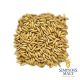 Malto Simpsons Oats - 25 kg