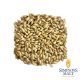 Malto Simpsons Pale Ale - 25 kg