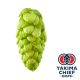 Yakima Chief Hops® Cryo Hops® pellets Strata - 5 kg