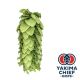 Luppolo Yakima Chief Hops® Vista - 5 kg Pellets T90