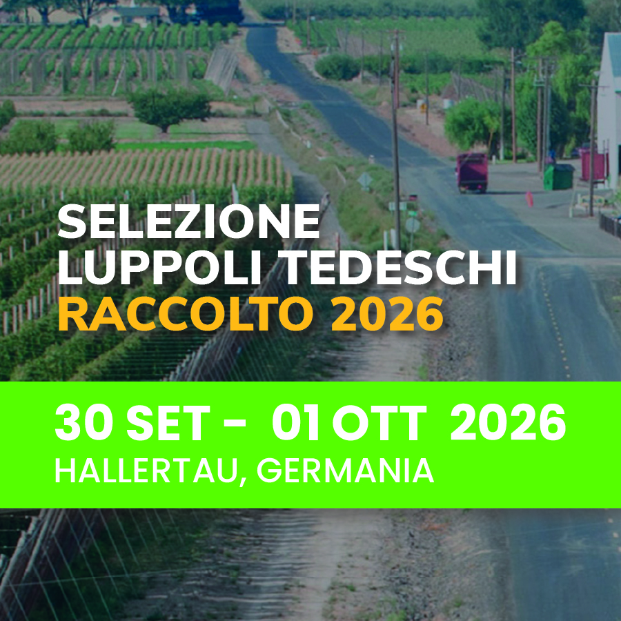 Hallertau Hop Selection 2026